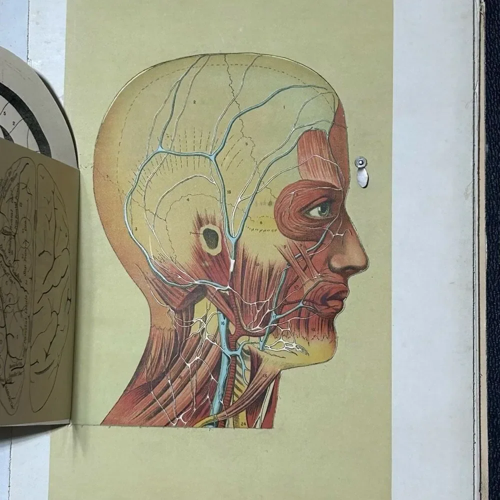 Vtg Western Publishing Nurses/Physician's Anatomical Aid by Ira E. Bunn & Co.